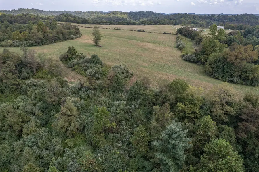 363 Higgins Branch Road, Royalton, KY 41464 - Image #3