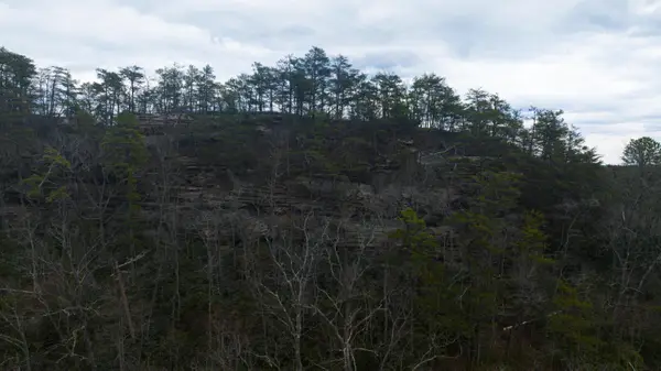 0 South Fork, Stanton, KY 40380