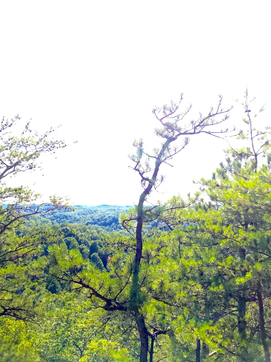 0 South Fork, Stanton, KY 40380 - Image #2