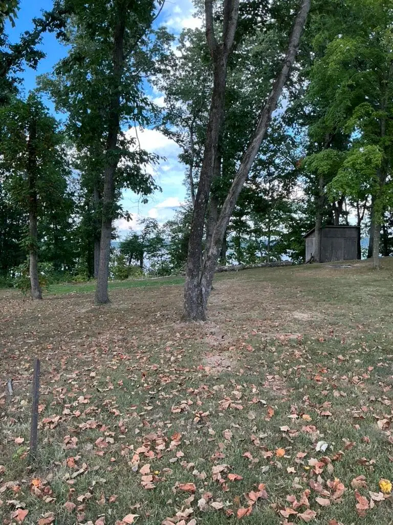 221 S Lake Bluff Lane #Lot A, Scottsville, KY 42164 - Image #3