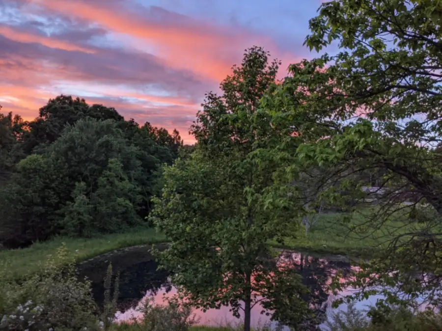 5931 N Ky-15, Pine Ridge, KY 41360 - Image #3