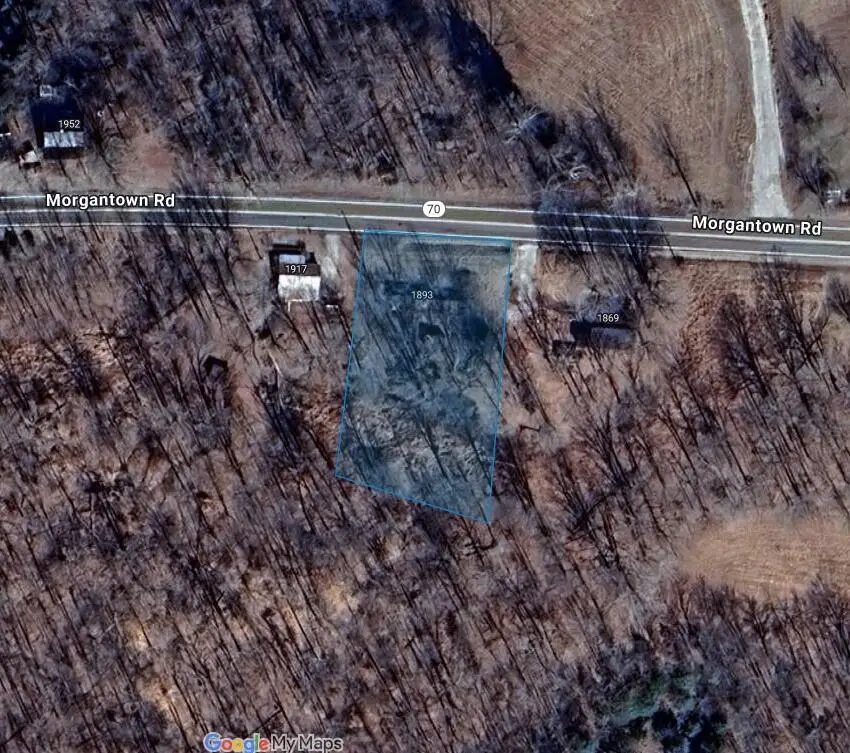 1893 Morgantown Road, Brownsville, KY 42210 - Image #2