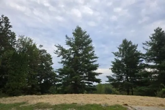 342 Fred Fox Road, Beattyville, KY 41311 - Image #1