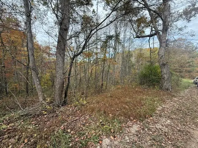 123 Crestmont-hales Ridge, Beattyville, KY 41311 - Image #3