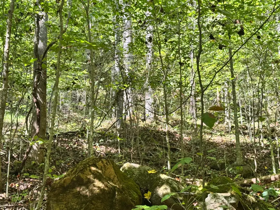 9950 Hector Road, Manchester, KY 40962 - Image #2