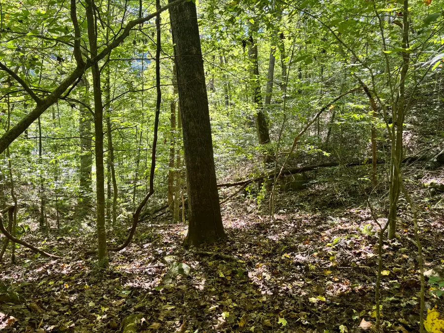 9950 Hector Road, Manchester, KY 40962 - Image #3