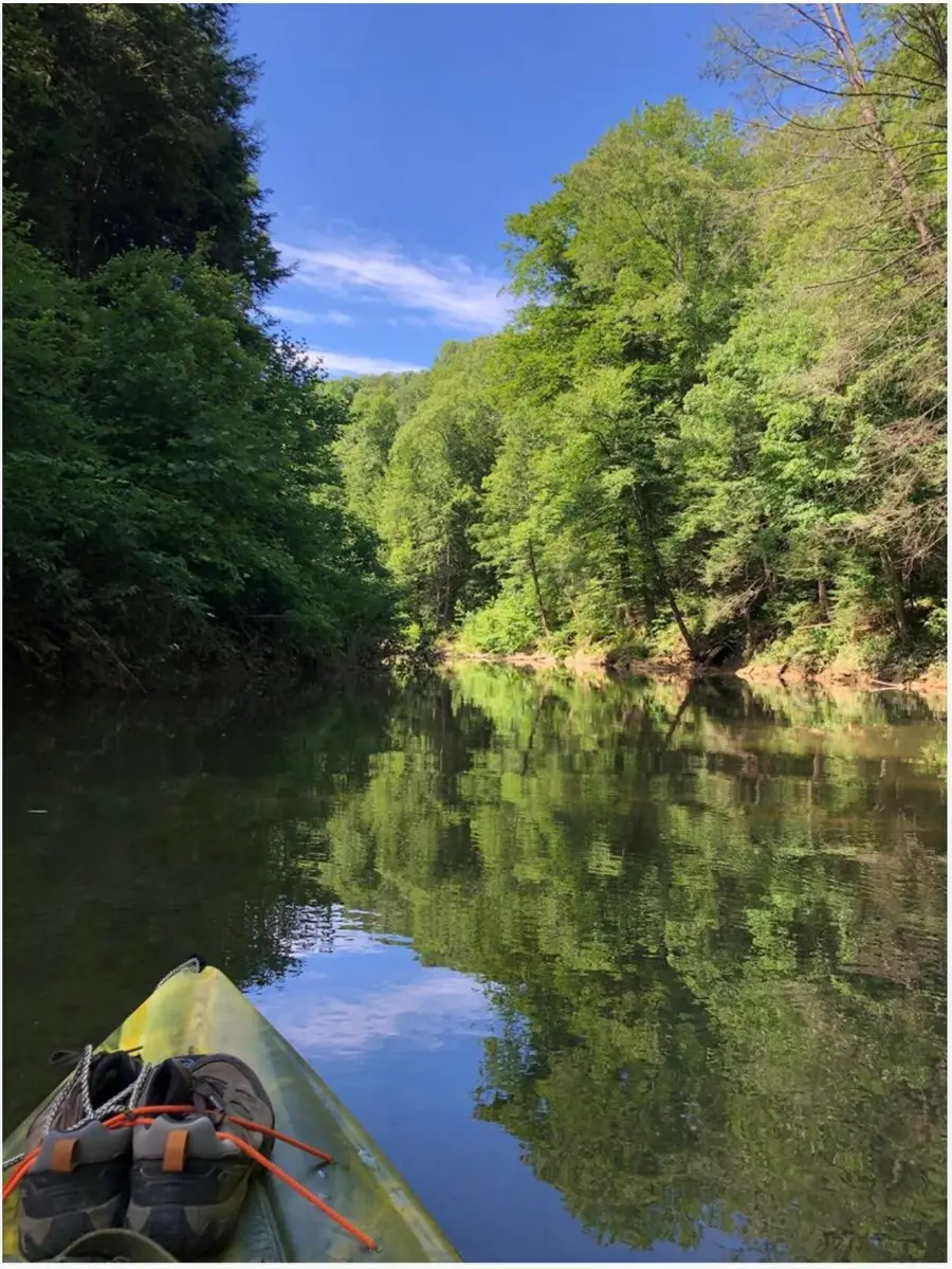 9500 Ky-59, Vanceburg, KY 41179 - Image #3