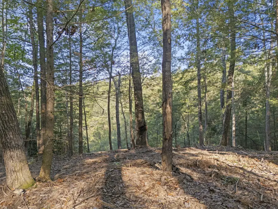 230 Eureka Road, Zoe, KY 41397 - Image #2