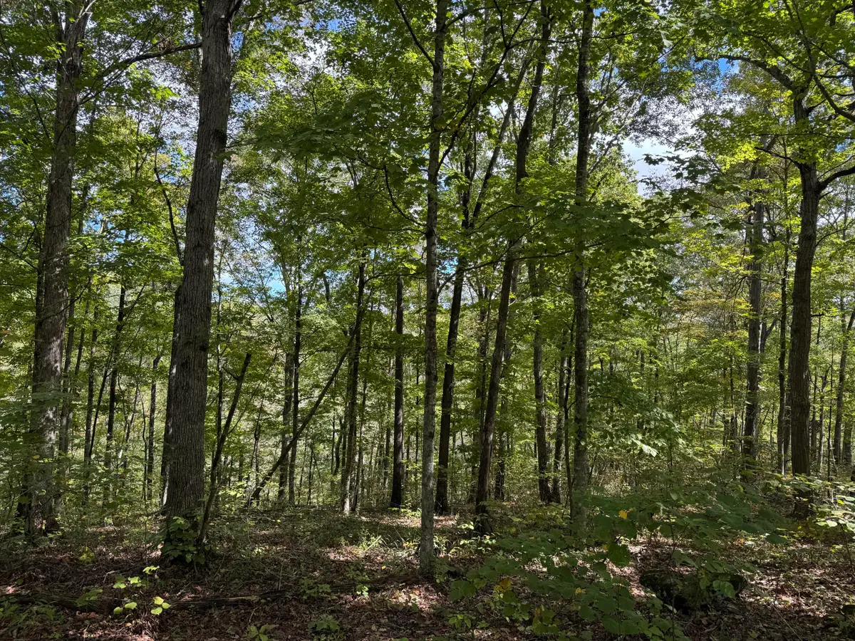 Lot 84,85,86 Sandstone Point Trail, Monticello, KY 42633 - Image #1