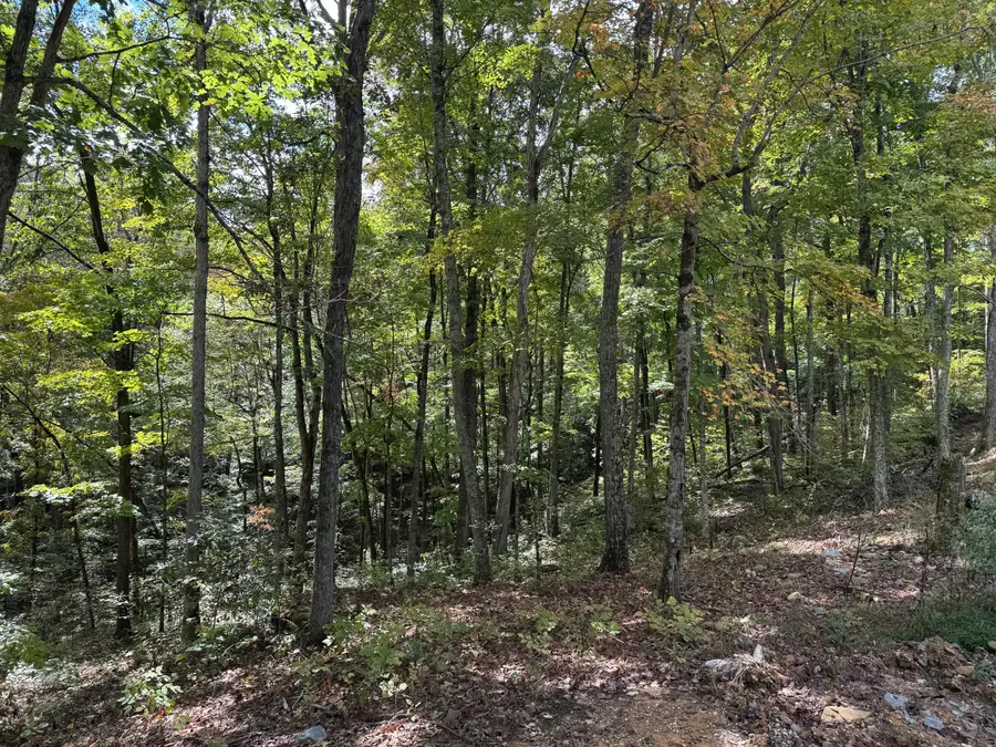 Lot 84,85,86 Sandstone Point Trail, Monticello, KY 42633 - Image #3