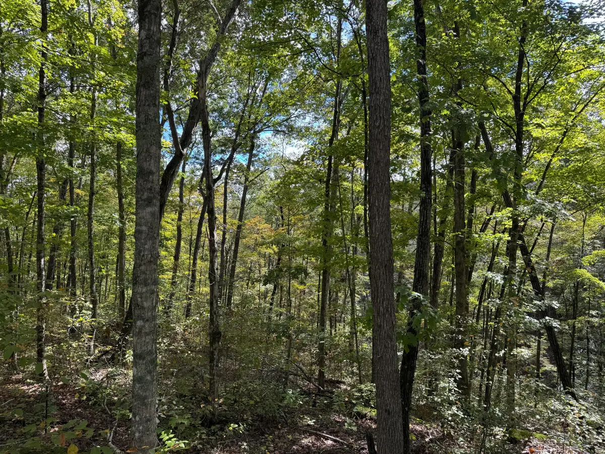 Lot 87,88,89 Sandstone Point Trail, Monticello, KY 42633 - Image #1