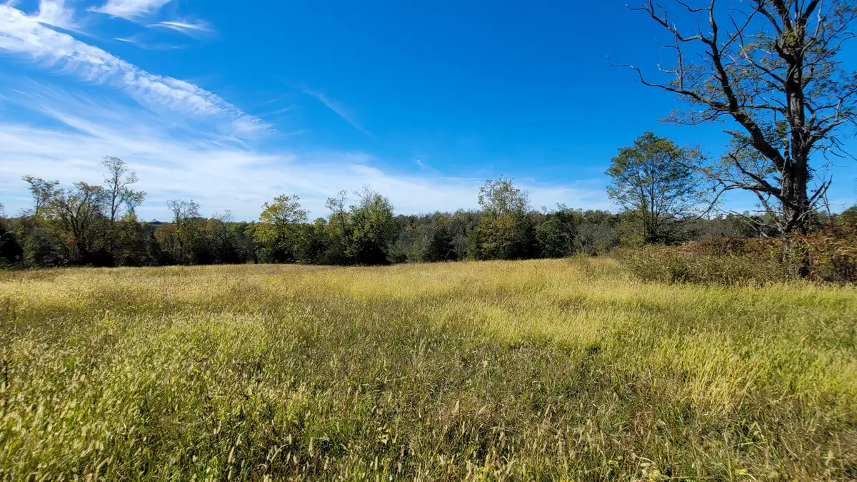 595 Tulip Poplar Lane, Flemingsburg, KY 41041 - Image #1