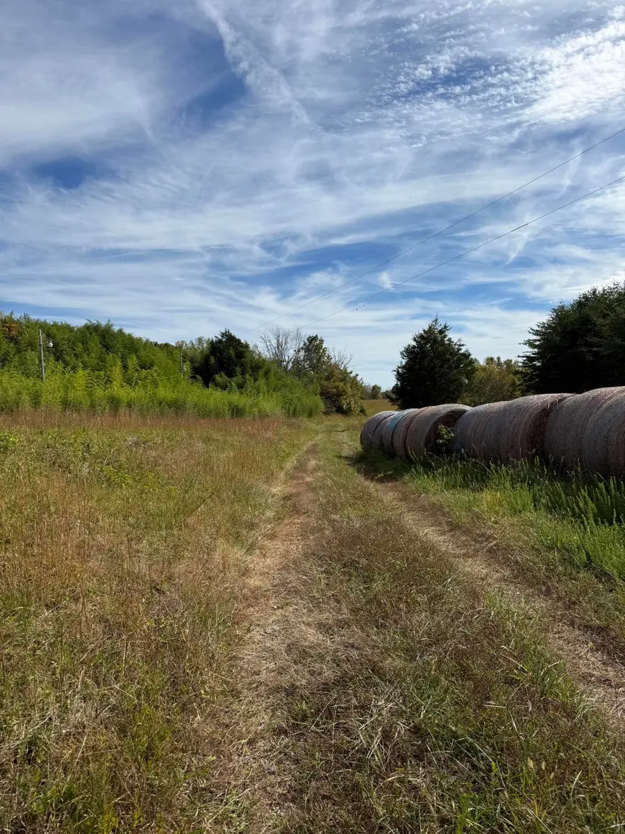 1660 Crocus Road, Jamestown, KY 42629 - Image #3