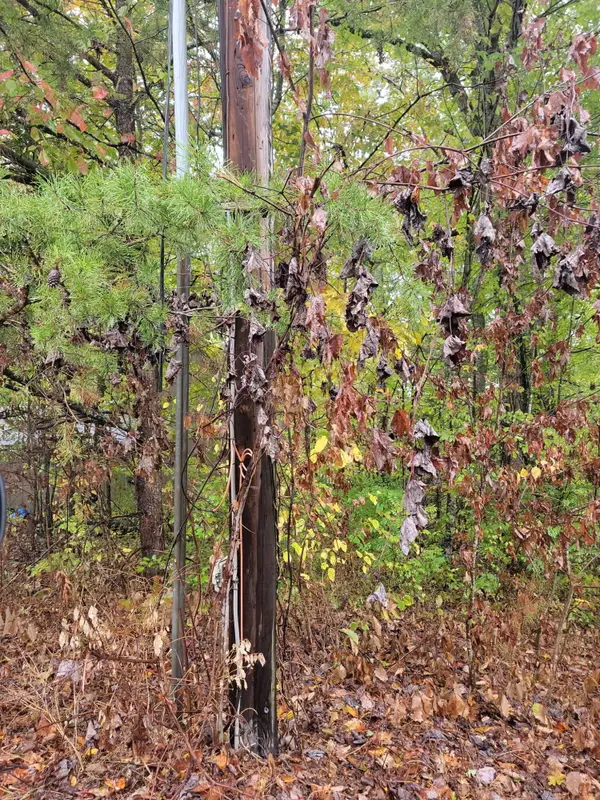 9999 9999 Sandy Hills Circle, Corbin, KY 40701