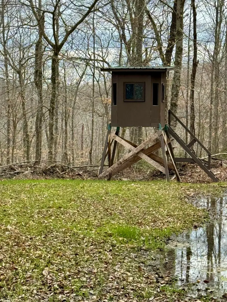 424 Mitt Foster Road, Monticello, KY 42633 - Image #2