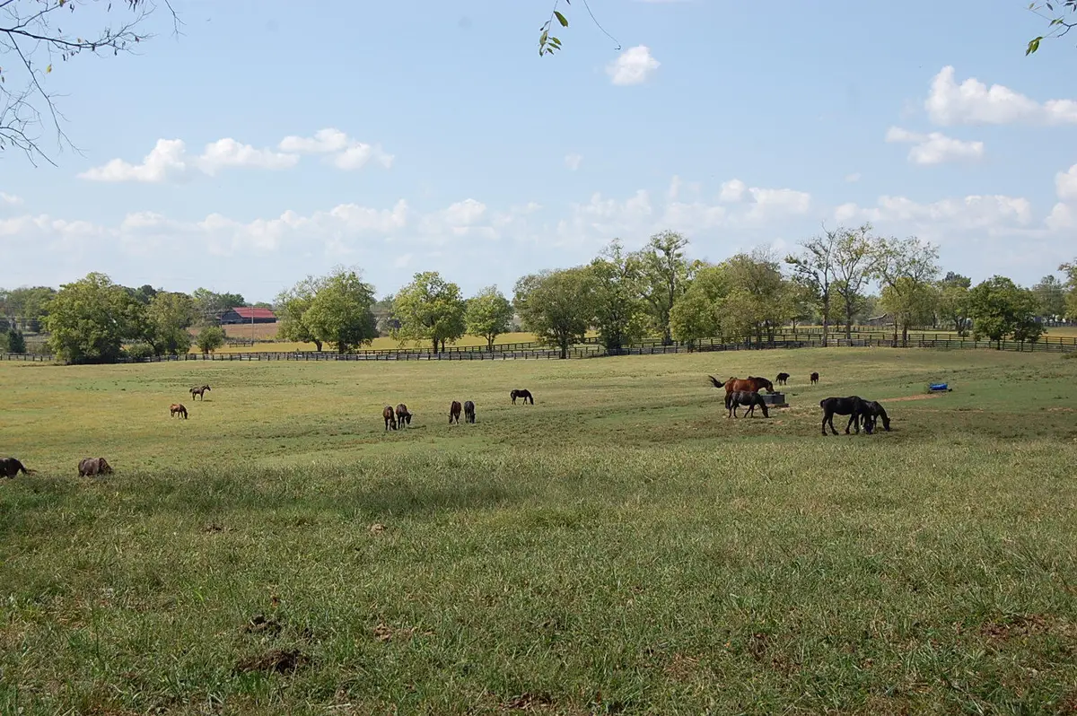 990 Clay Kiser Road, Paris, KY 40361 - Image #1