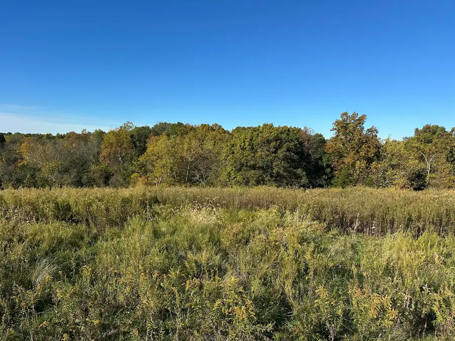 473 Kings Lane, Cynthiana, KY 41031 - Image #2