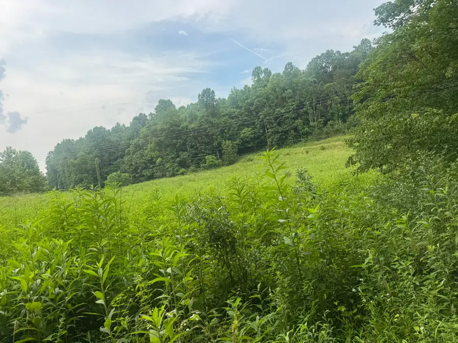 500 Hail Bridge Road, Somerset, KY 42501 - Image #2