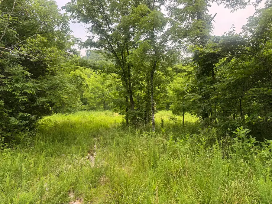 500 Hail Bridge Road, Somerset, KY 42501 - Image #3