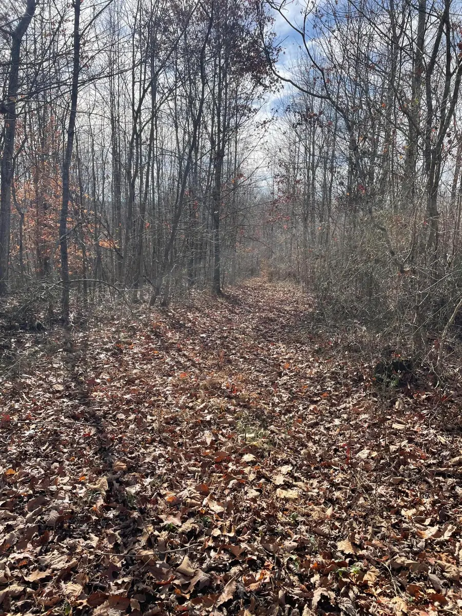 1407 Denton Phelps Road, Somerset, KY 42501 - Image #2