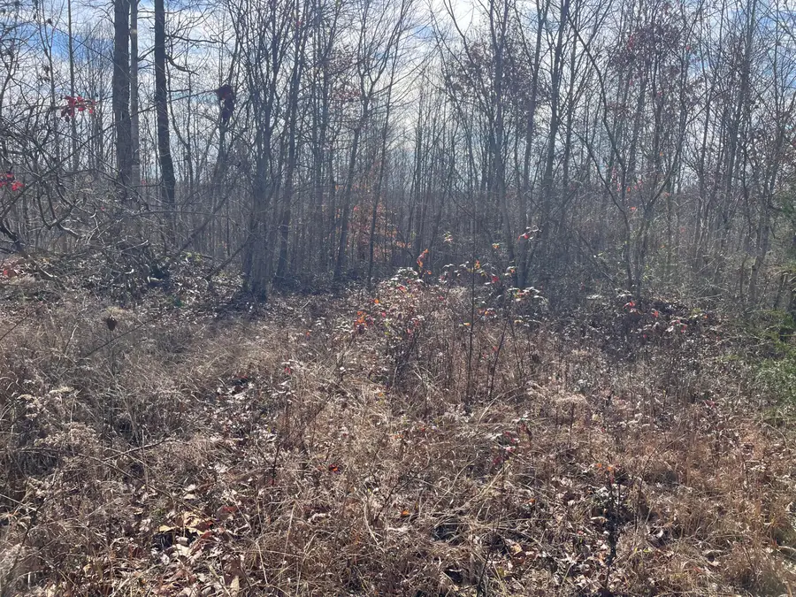 1407 Denton Phelps Road, Somerset, KY 42501 - Image #3