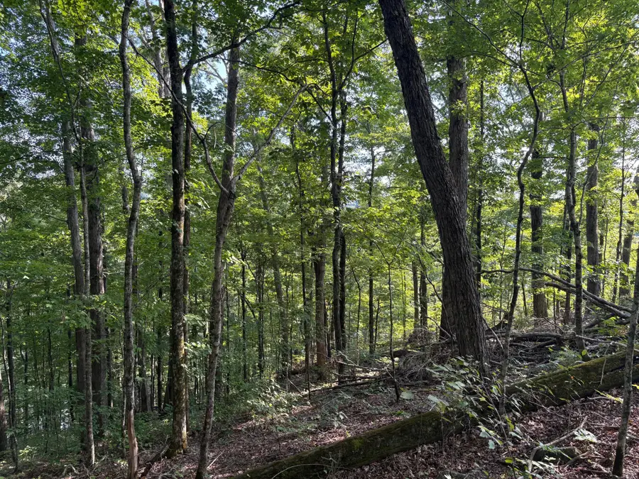 7 Sunset Drive, Jamestown, KY 42629 - Image #2