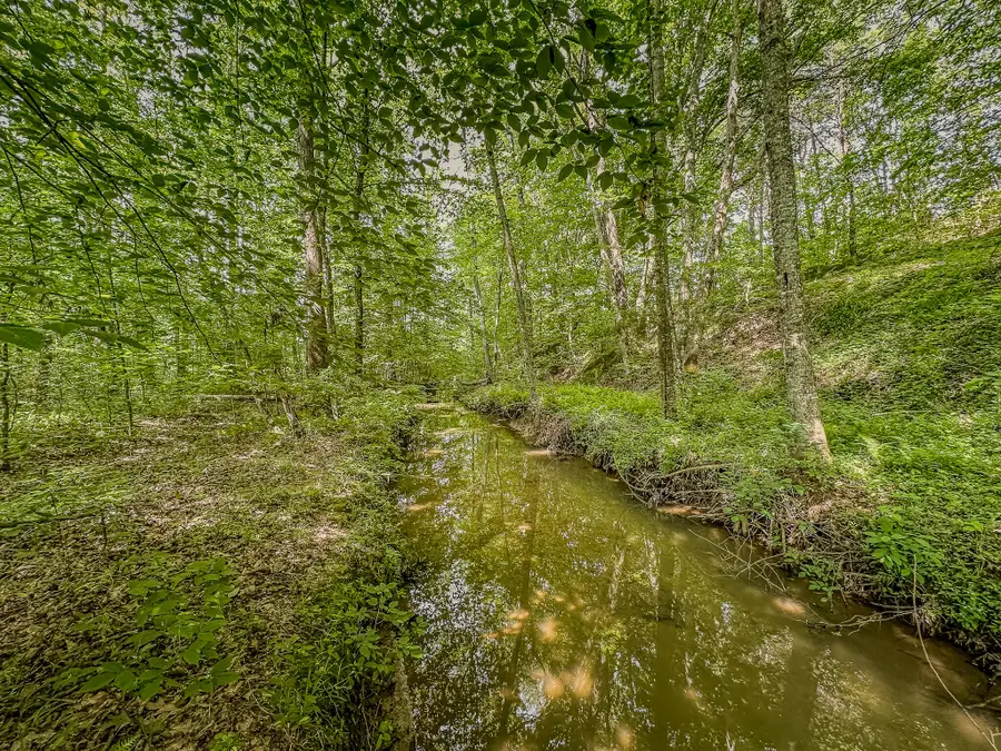 0 Yellow Springs Road, London, KY 40741 - Image #2