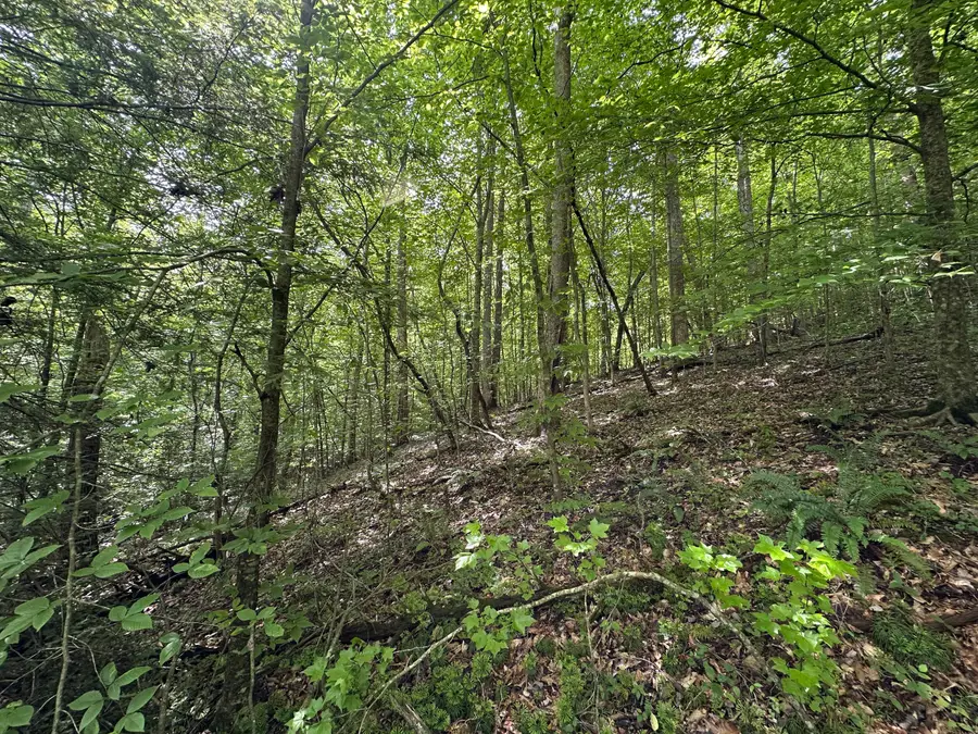 0 Yellow Springs Road, London, KY 40741 - Image #3