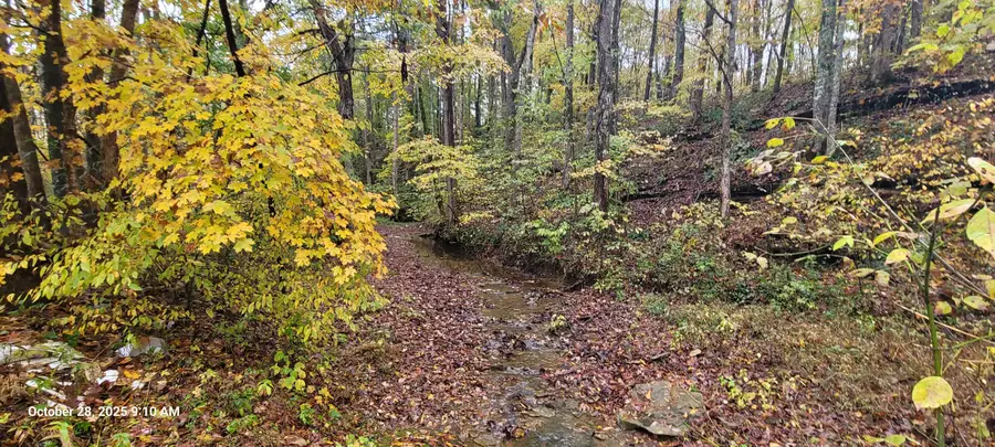 1121 Breeding Road, Edmonton, KY 42129 - Image #3