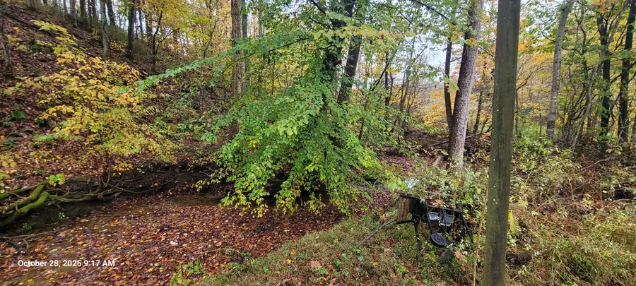 1121 Breeding Road, Edmonton, KY 42129 - Image #3