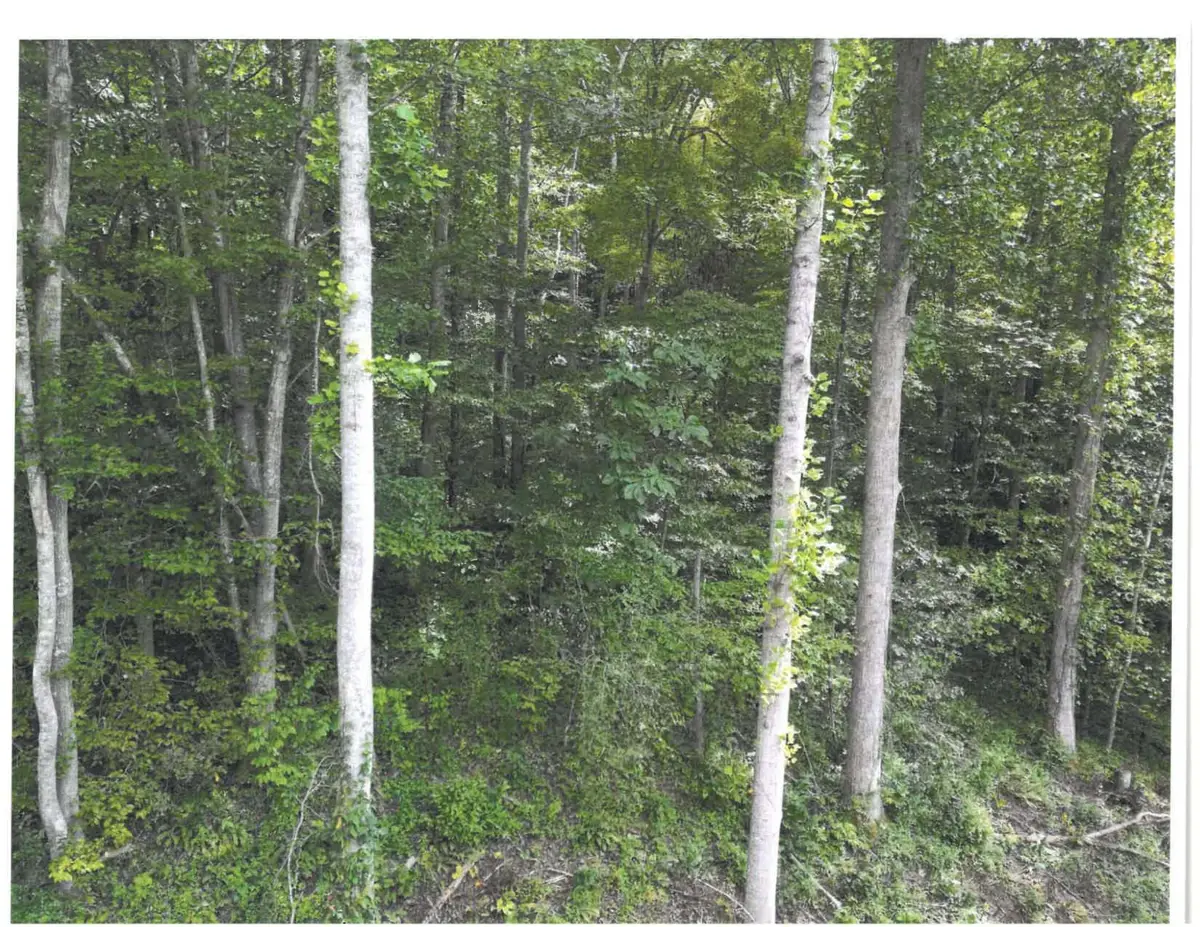 736 E Cave Branch Road Branch, Manchester, KY 40962 - Image #1