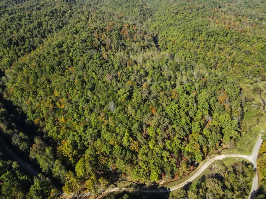 999 Hwy 1803 Billies Br, Barbourville, KY 40906 - Image #2