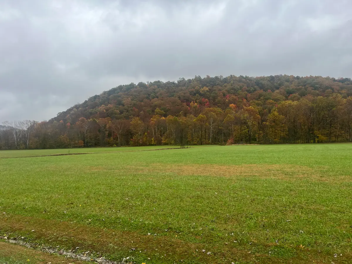 1037 Big Salt Lick Creek Road, Salt Lick, KY 40371 - Image #1