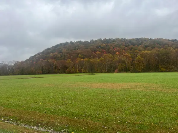 1037 Big Salt Lick Creek Road, Salt Lick, KY 40371