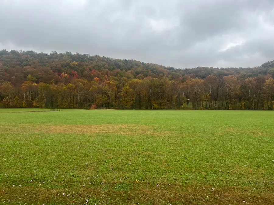 1037 Big Salt Lick Creek Road, Salt Lick, KY 40371 - Image #3