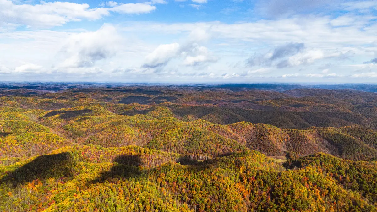 25 Tar Fork Road, Vanceburg, KY 41179 - Image #1