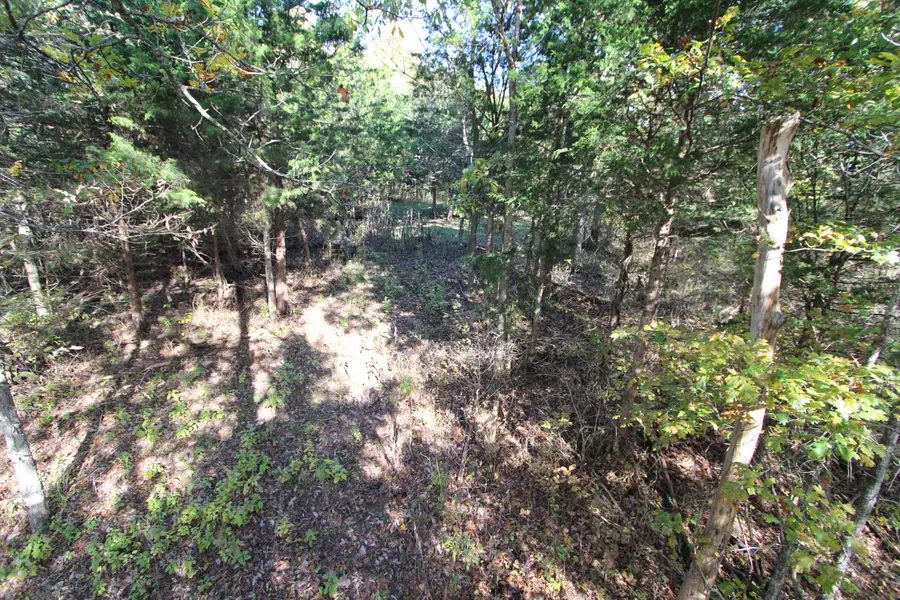 4925 Flat Creek Road, Frankfort, KY 40601 - Image #3