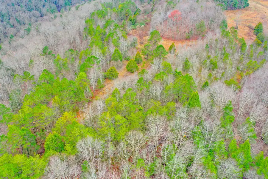 9999 War Fork Road, McKee, KY 40447 - Image #2