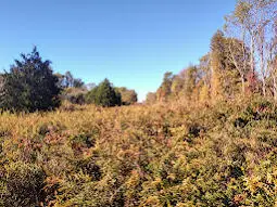 1394 Peeled Oak Road, Owingsville, KY 40360 - Image #1