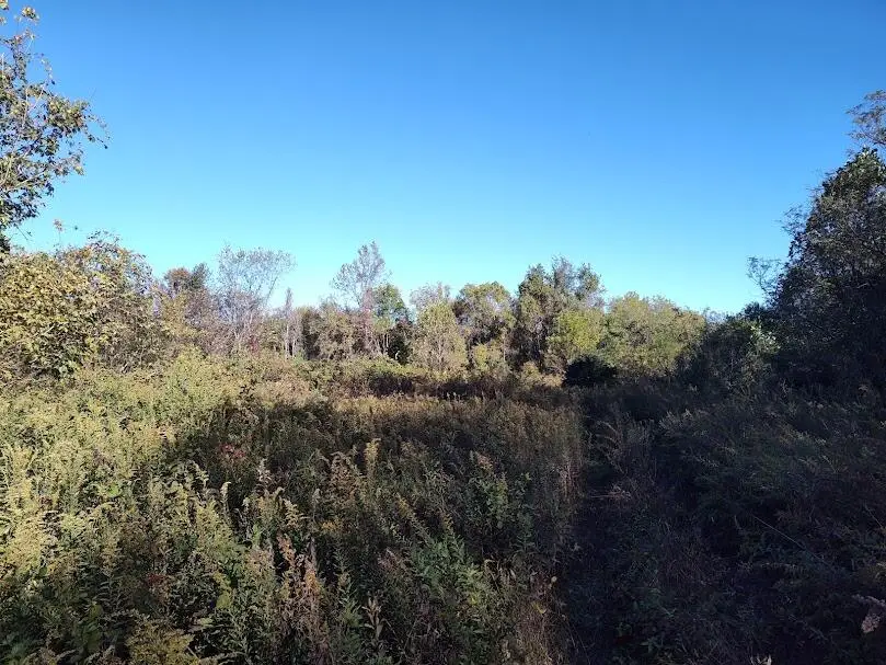 1394 Peeled Oak Road, Owingsville, KY 40360 - Image #2