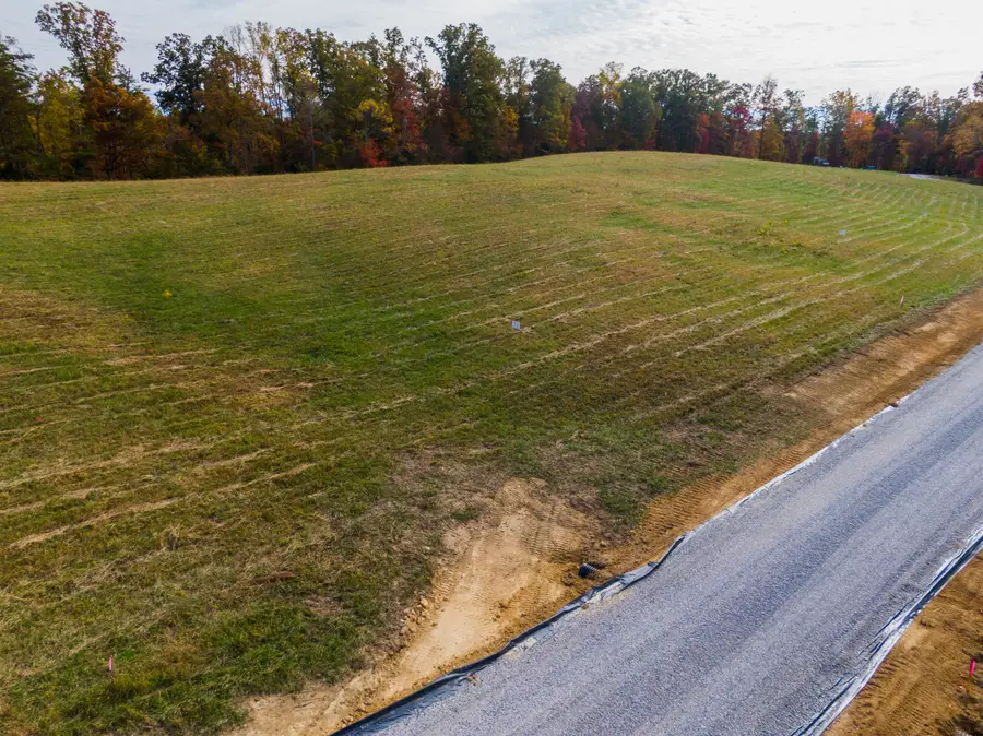 Lot 32 Spring Branch Hollow Road, Nancy, KY 42544 - Image #2