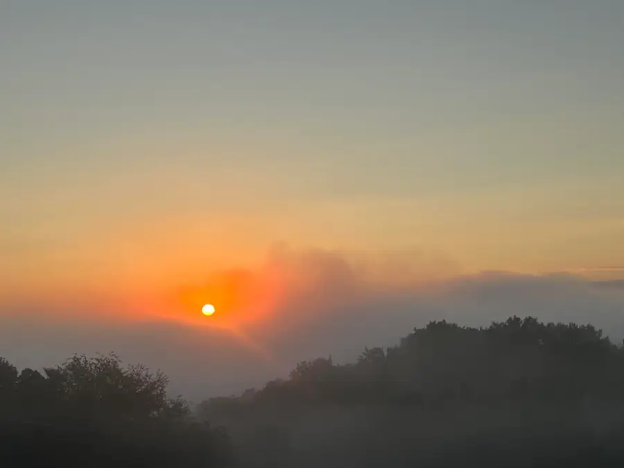 304 Prestwick Circle #149, Richmond, KY 40475 - Image #3