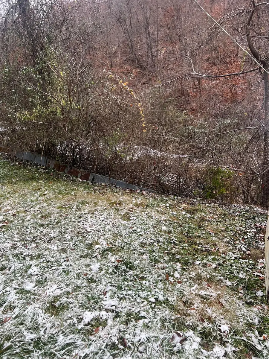 821 Runnells Branch Road, Hindman, KY 41822 - Image #2