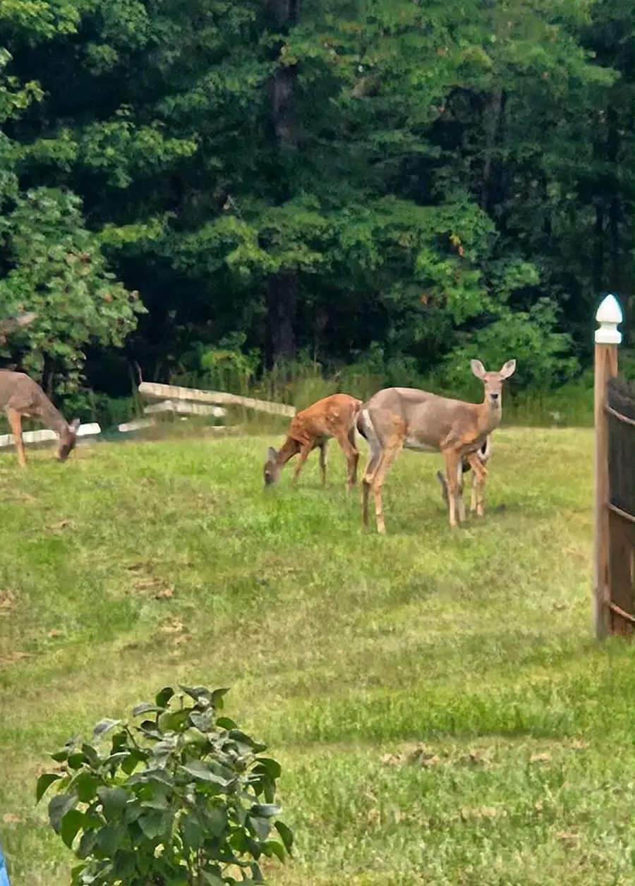 1668 State Hwy 498, Beattyville, KY 41311 - Image #3