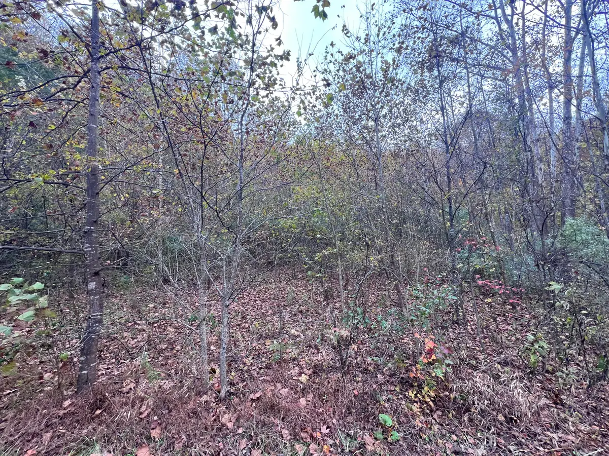 99999 Ky-317 #ROCKHOUSE, Neon, KY 41810 - Image #1