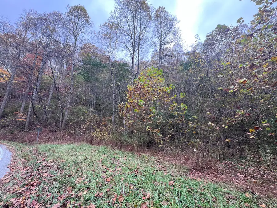 99999 Ky-317 #ROCKHOUSE, Neon, KY 41810 - Image #2