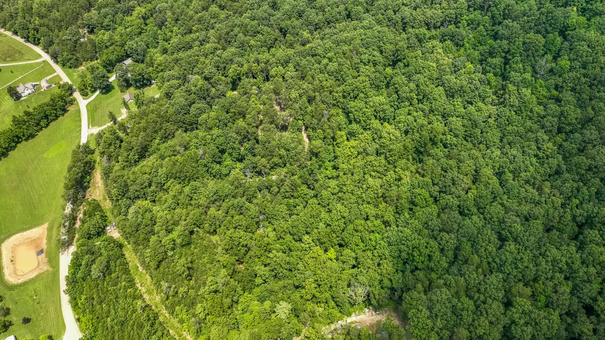 0000 Clark Road, Irvine, KY 40336 - Image #1