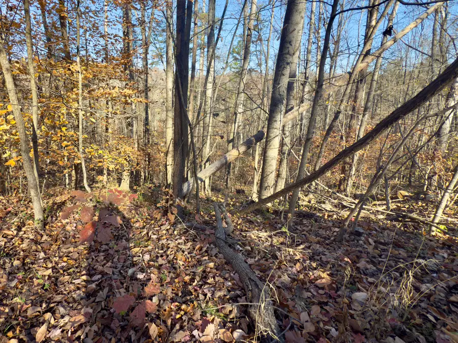 138 Shiloh Road, Somerset, KY 42501 - #2