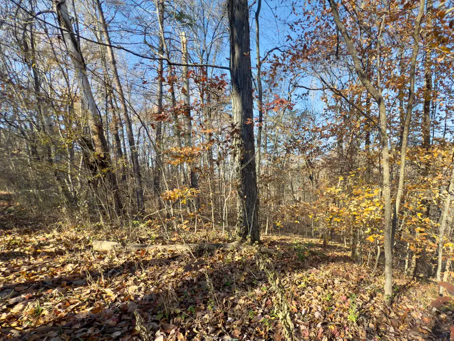 138 Shiloh Road, Somerset, KY 42501 - #3