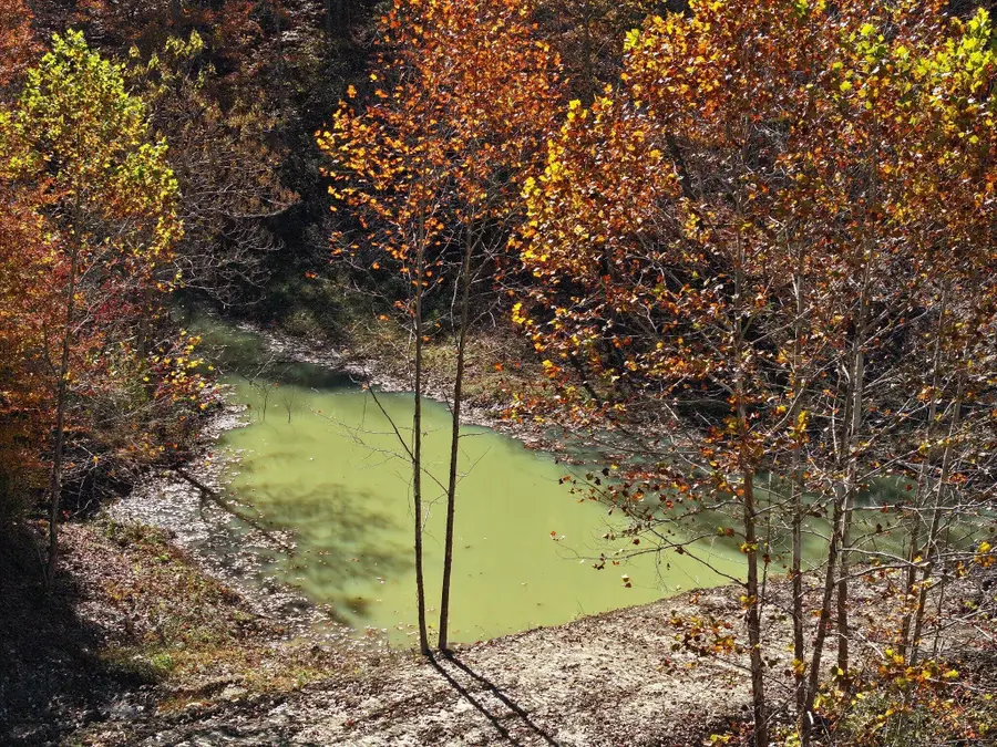 9997 Little Doe Creek Road, Irvine, KY 40336 - Image #2